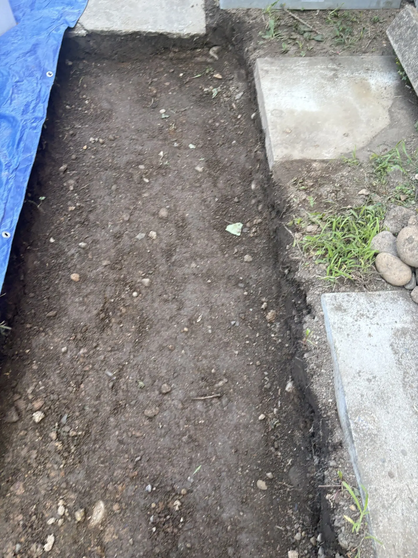 Excavated narrow path beside existing concrete and a blue tarp.