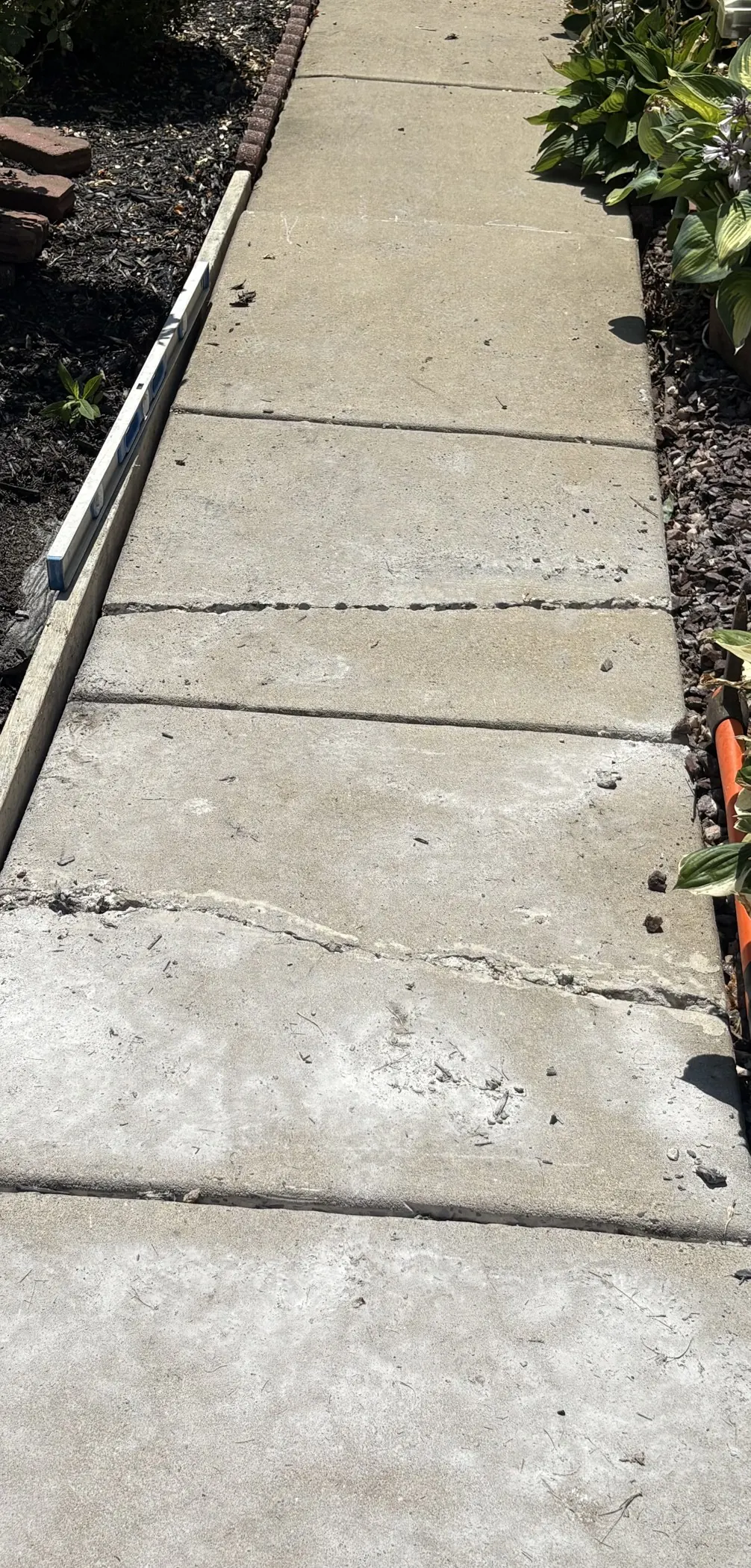 Cracks across a concrete walkway beside planted borders.